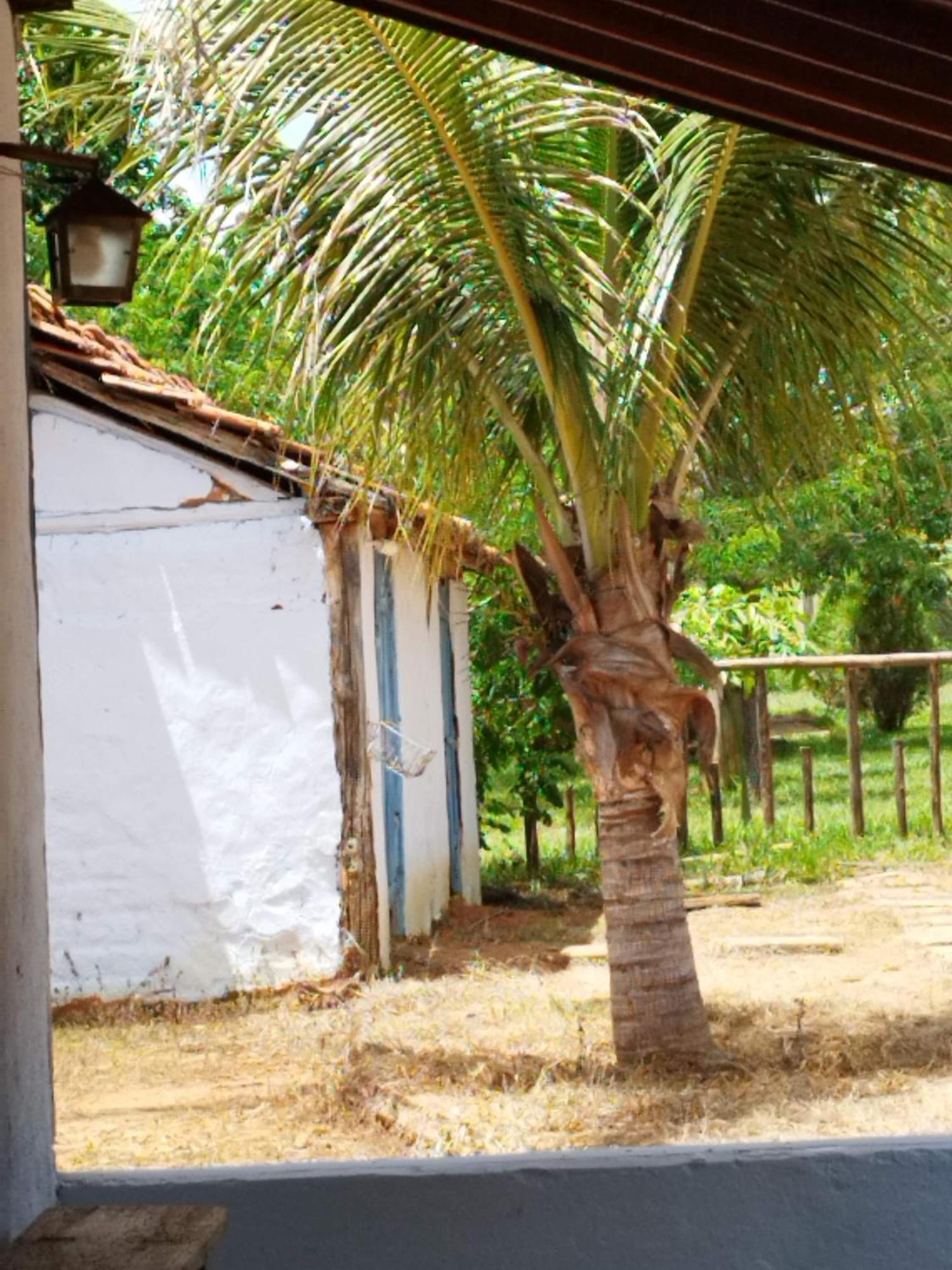 Fazenda Com Piscina E Churrasqueira Br-135 Proximo Curvelo Corinto E Morro Da Garca Zewnętrze zdjęcie